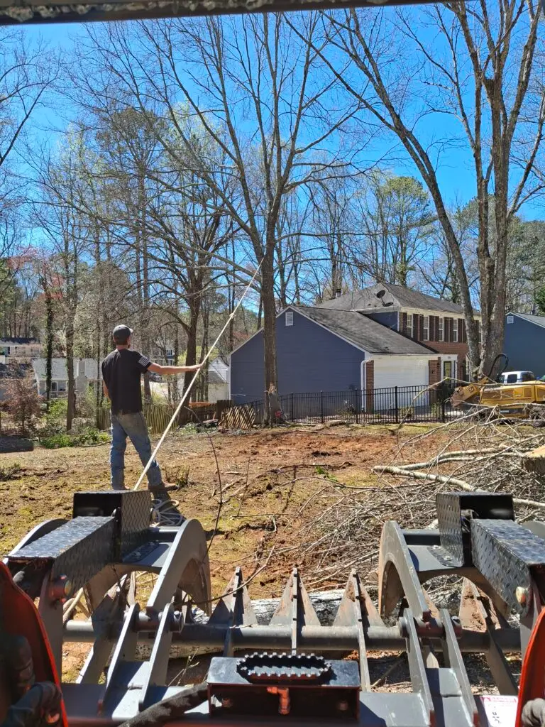 Tree removal expert local top rated stumpy's grinding and tree services