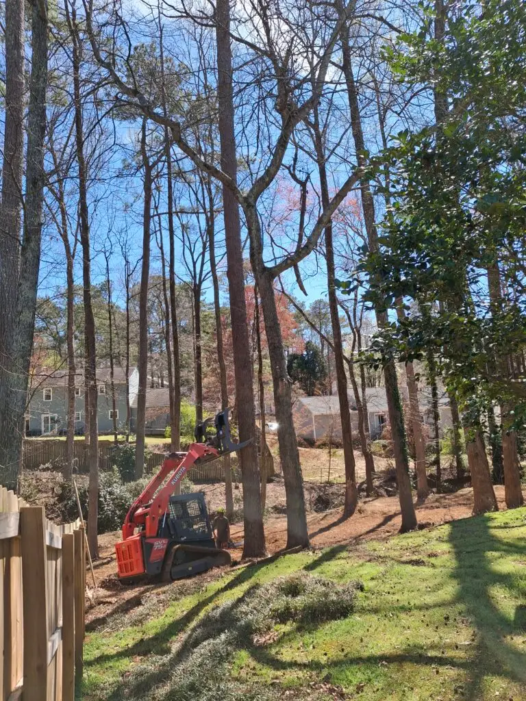 Stumpy's Grinding and Tree Service Experts Forsyth County Georgia