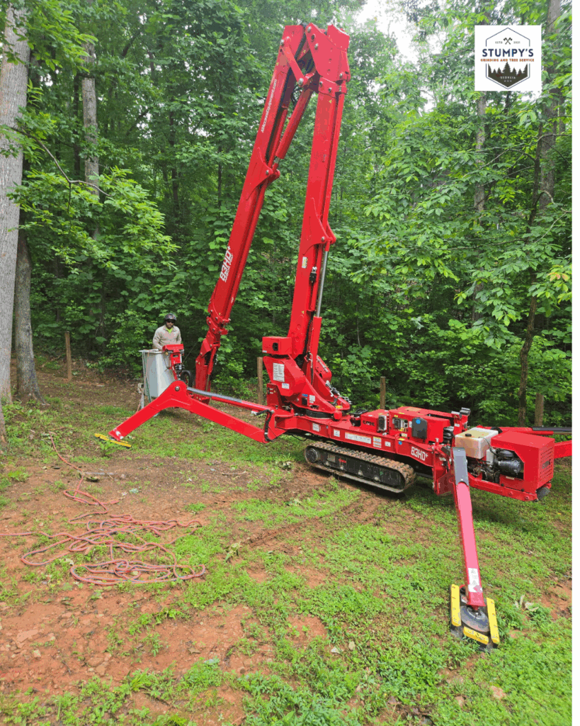 Professional stump grinder removing large oak tree stump in residential yard" "Stumpy's Grinding crew operating commercial stump removal equipment" "Heavy-duty stump grinding machine clearing tree roots from landscaped property"