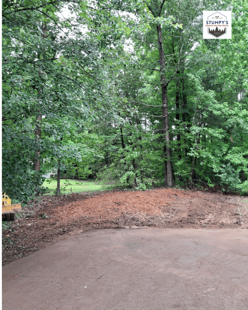 "Stump grinding service in Forsyth county moving storm-damaged tree stumps" "Professional stump removal company serving Metro Atlanta residential properties" "Local tree stump grinding contractor working in Dawsonville area"
