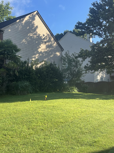 Photo from customer review