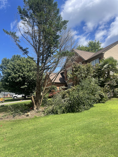 Photo from customer review