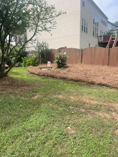 Photo from customer review