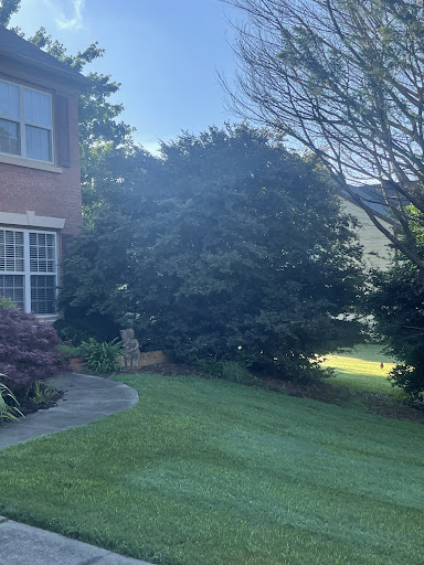 Photo from customer review