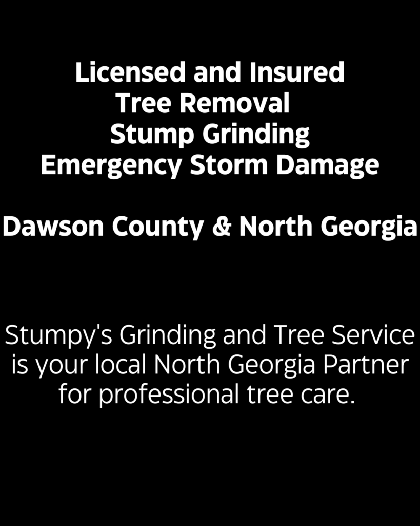 Licensed and Insured Tree Removal Stump Grinding Emergency Storm Damange